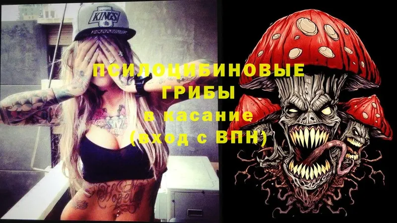 Галлюциногенные грибы Psilocybine cubensis  Оханск 